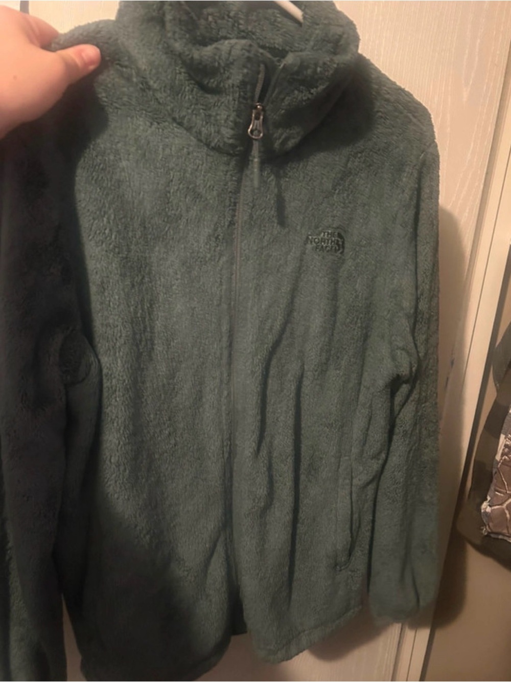 The North Face Women’s Forest Green Teddy Fleece Zip Jacket